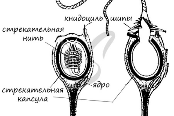 Mega onion ссылка